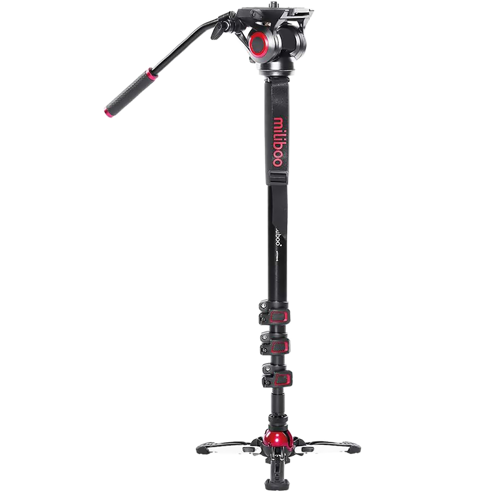 Монопод Miliboo MTT705 II Aluminium 