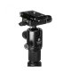 Штатив Benro MeFOTO RoadTrip Pro Aluminum Чёрный - Изображение 232262