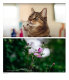 Объектив 7artisans 50mm F0.95 Micro 4/3 - Изображение 166405