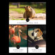 Объектив Viltrox AF 135mm F1.8 LAB FF E-mount - Изображение 257869