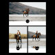 Объектив Viltrox AF 135mm F1.8 LAB FF E-mount - Изображение 257876