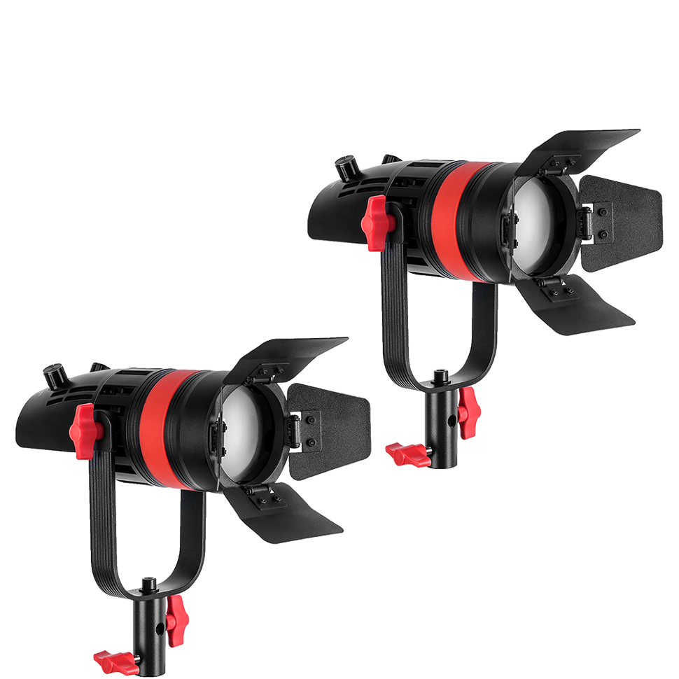 Комплект осветителей CAME-TV Boltzen Q-55W Mark II (2шт) 