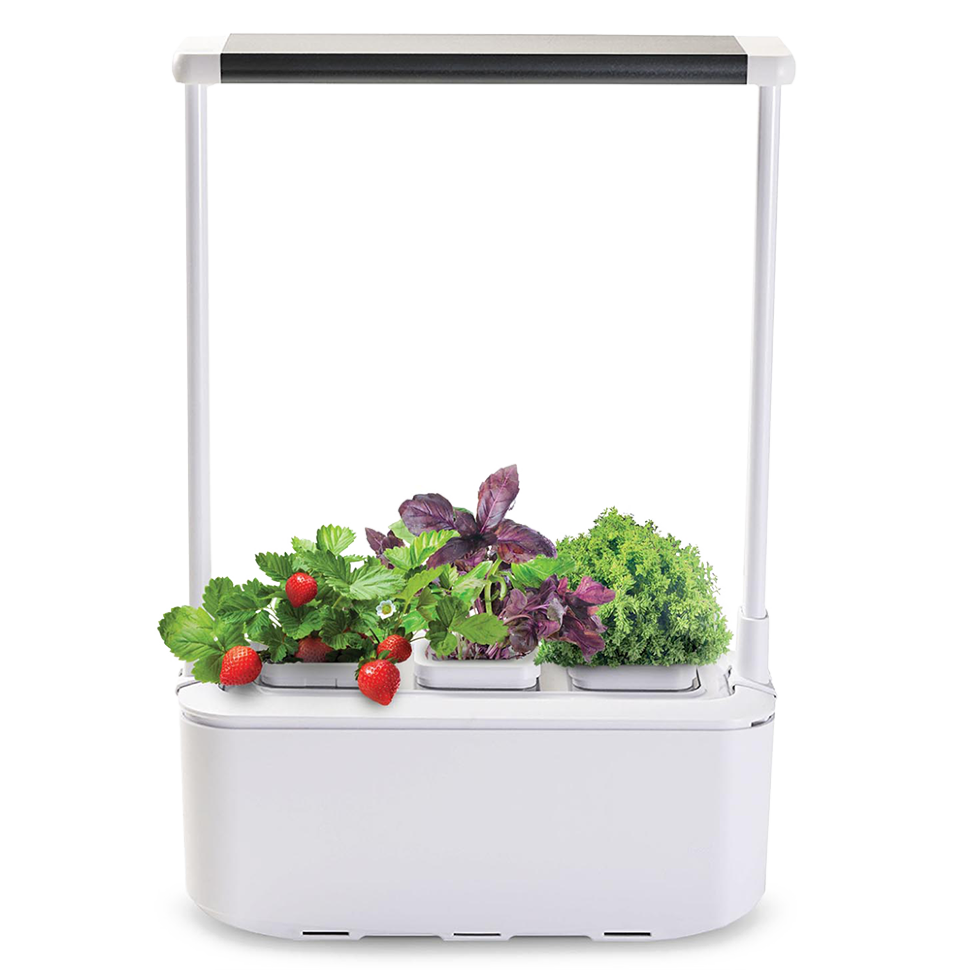 Компактный смарт-сад iGarden PRO с подсветкой 