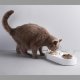 Миска для животных Petkit Adjustable Double Bowl 15° Белая - Изображение 217585