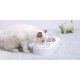 Миска для животных Petkit Adjustable Double Bowl 15° Белая - Изображение 217587