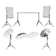 Комплект студийного оборудования Falcon Eyes KeyLight 425LED SBU KIT - Изображение 166309