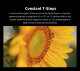 Объектив Sirui Jupiter 35mm T2 Full-frame Macro EF-mount - Изображение 189070