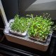 Компактный смарт-сад - iGarden LED с подсветкой - Изображение 199198