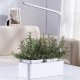 Компактный смарт-сад - iGarden LED с подсветкой - Изображение 82189