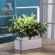 Компактный смарт-сад - iGarden LED с подсветкой - Изображение 82190