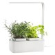 Компактный смарт-сад - iGarden LED с подсветкой - Изображение 82197