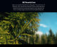 Объектив Sirui Jupiter 24mm T2 Full-frame Macro PL-mount  - Изображение 189092