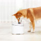 Поилка для животных Kitten & Puppy Pet Water Dispenser - Изображение 114494