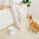 Поилка для животных Kitten & Puppy Pet Water Dispenser - Изображение 114498