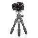 Штатив Benro Tortoise TTOR03CGX25 - Изображение 233123