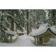 Объектив Sigma 30mm F1.4 DC DN Contemporary X-mount - Изображение 234413