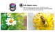 Комплект объективов Apexel 18x Telephoto 5-in-1 Kit для смартфона - Изображение 177872
