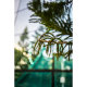 Объектив Viltrox AF 35mm F1.8 E-mount - Изображение 159387