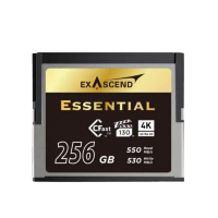 Артикул: 84520. Карта памяти Exascend Essential CFast 2.0 256GB