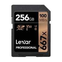 Артикул: 19121. Карта памяти Lexar SDXC 256Gb V30 UHS-I U3