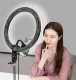 Осветитель кольцевой Baseus Live Stream 12" Чёрный - Изображение 166106