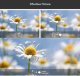 Объектив Apexel 100mm Macro для смартфона - Изображение 177826