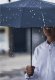 Зонт Daily Elements Super Wind Resistant Umbrella MIU001 Чёрный - Изображение 183652