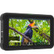 Операторский монитор Atomos Shinobi SDI 5.2" 4K - Изображение 134582