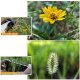 Объектив Ulanzi 75mm Macro для смартфона (Уцененный кат.А) - Изображение 245090