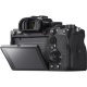 Беззеркальная камера Sony a7R IV - Изображение 197104