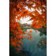 Объектив 7Artisans 7.5mm F2.8 II Fisheye E-mount - Изображение 162202