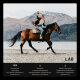 Объектив Viltrox AF 135mm F1.8 LAB FF Z-mount - Изображение 269541