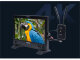 Видеосендер - интерком Feelworld WTRS (HDMI + SDI) - Изображение 299983