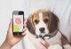 GPS трекер для животных Wonlex Pet Tracker PT02 - Изображение 82626