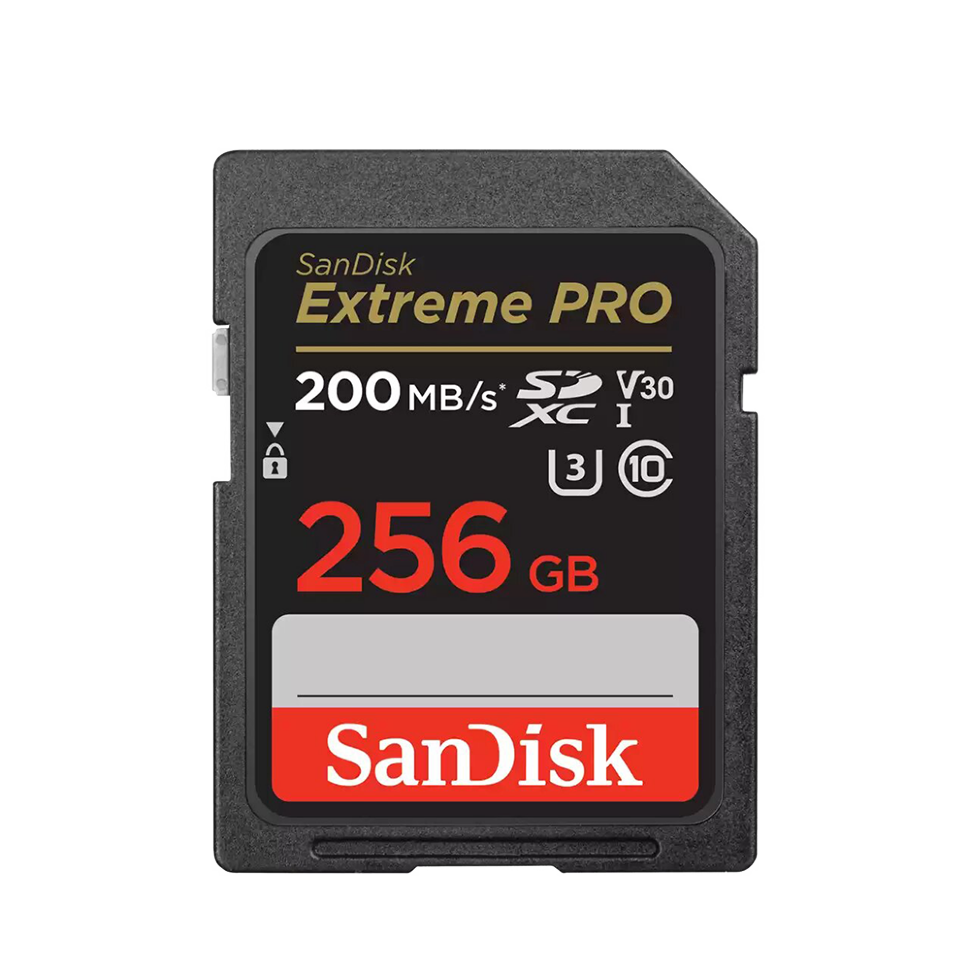 Карта памяти SanDisk Extreme Pro 256Gb SDXC UHS-I U3 V30 
