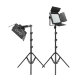 Комплект осветителей GVM 880RS (2шт) - Изображение 219035