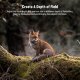 Объектив Neewer LS-36 Telephoto 7X для смартфона - Изображение 254440