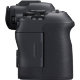 Беззеркальная камера Canon EOS R6 Mark II Body - Изображение 221783
