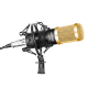 Микрофон Neewer NW-800 Золотой + пантограф NW-35 - Изображение 168799