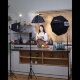 Осветитель Godox ML100Bi - Изображение 262876