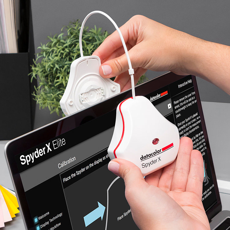 

Калибратор монитора Datacolor Spyder X PRO