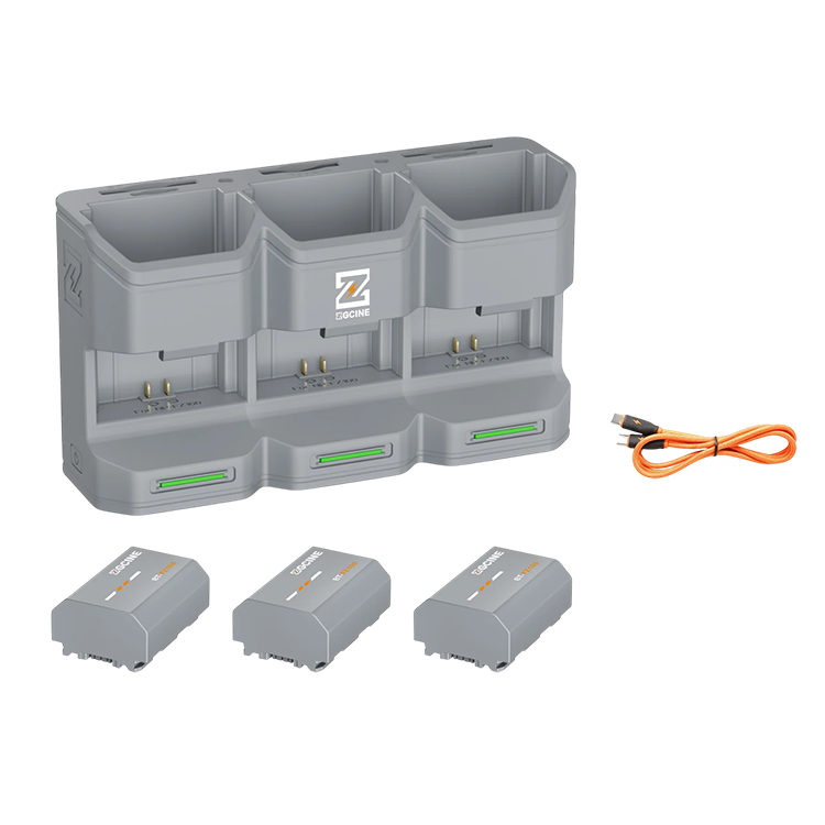 

3 аккумулятора NP-FZ100 + зарядный кейс ZGCine PC3