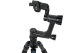 Штативная голова Sirui PH-10 Gimbal Head - Изображение 137697