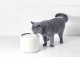 Питьевой фонтан для животных Petkit Eversweet 3 - Изображение 188069