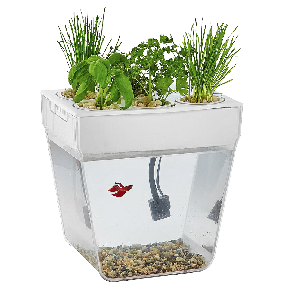 Акваферма Aquafarm 