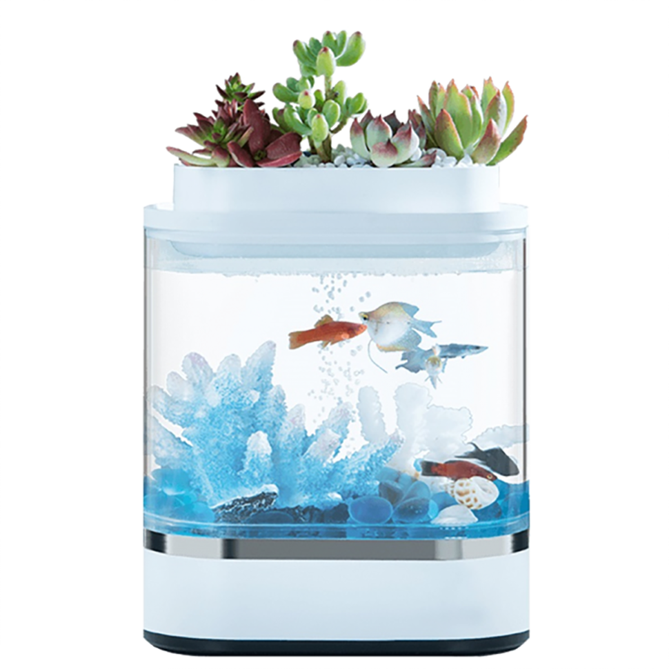 Аква-ферма Geometry Mini Lazy Fish Tank Pro (C300) 