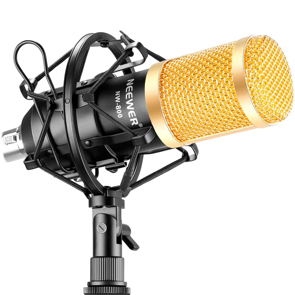 Микрофон Neewer NW-800 + держатель 