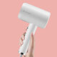 Фен Zhibai Ion Hair Dryer Upgrade HL312 (Уцененный кат.А) - Изображение 259137