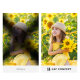 Светофильтр K&F Concept C-series CPL/ND2-32/Black Diffusion 1/4 52мм - Изображение 268393