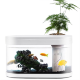 Аквариум Descriptive Geometry C180 Smart Fish Tank Pro Standart Set  - Изображение 136225